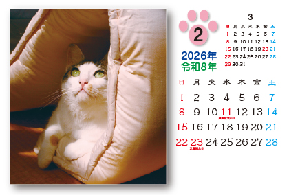 猫カレンダー