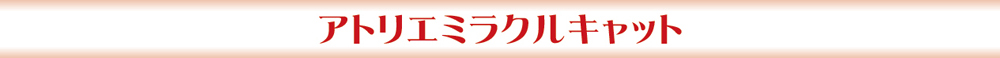 アトリエミラクルキャット