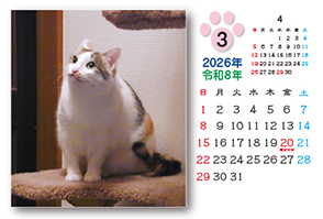 ネコのカレンダー
