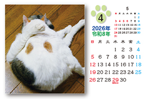 ネコのカレンダー