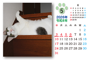 ネコのカレンダー